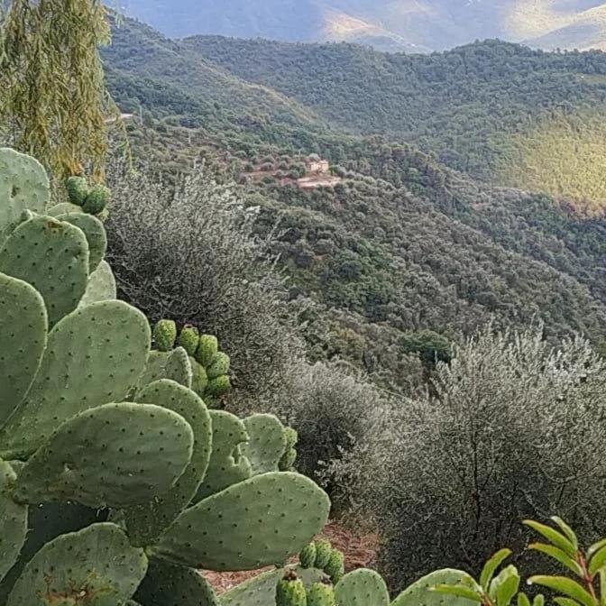Appartamento Incantevole La Grotta Apricale Exterior foto